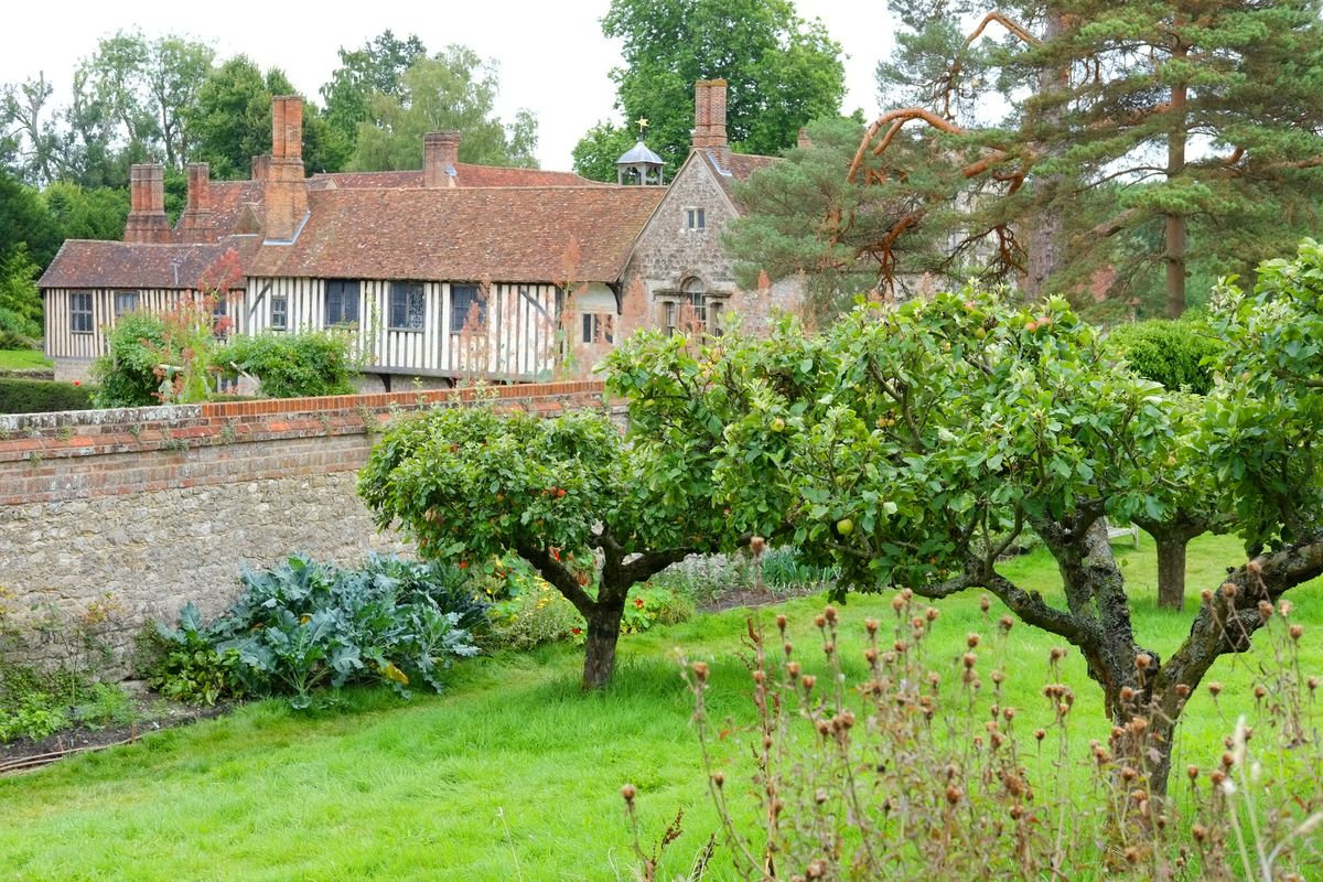 Kent orchards for cider