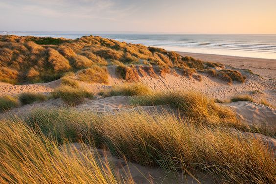 Sylt dunes