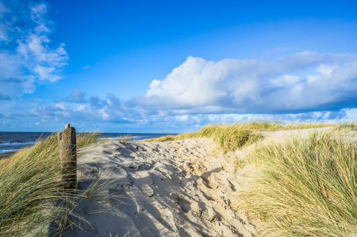 Dunes in Texel