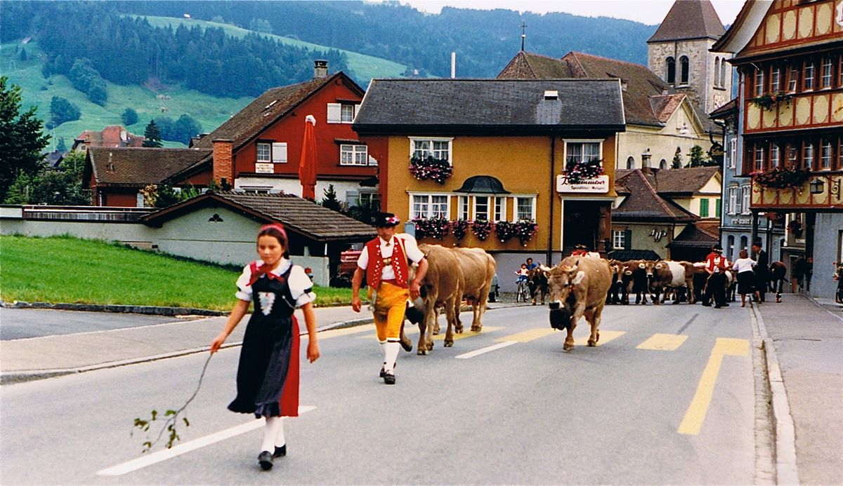 Appenzell Village